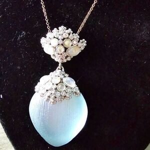 necklace and earring set.